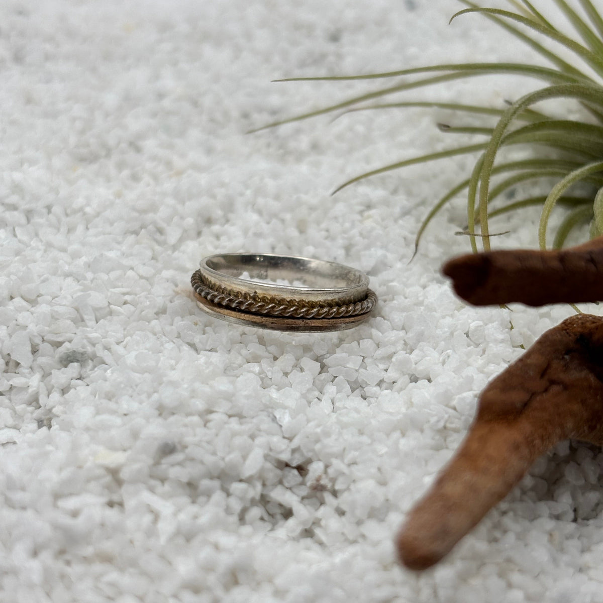 Silver and Gold Ring Band detail