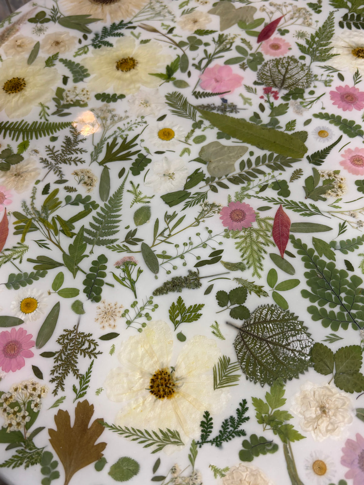 Real Pressed Floral Accent Table