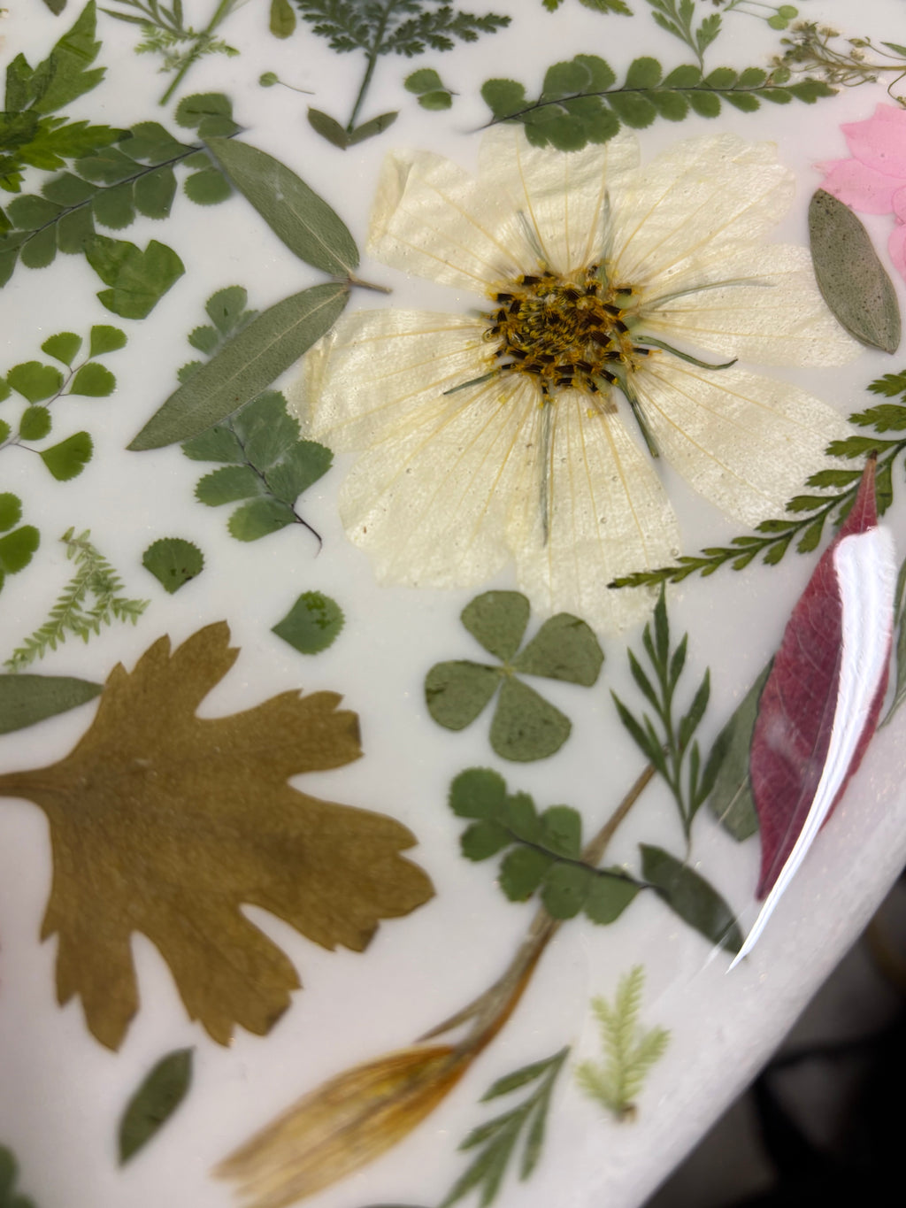 Real Pressed Floral Accent Table