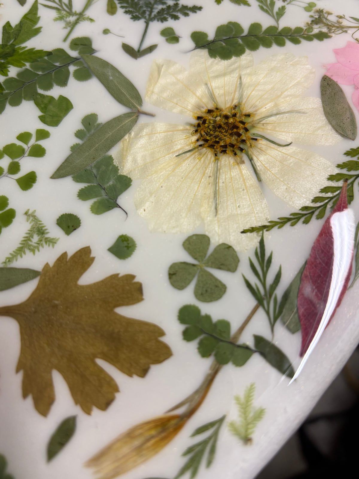 Real Pressed Floral Accent Table