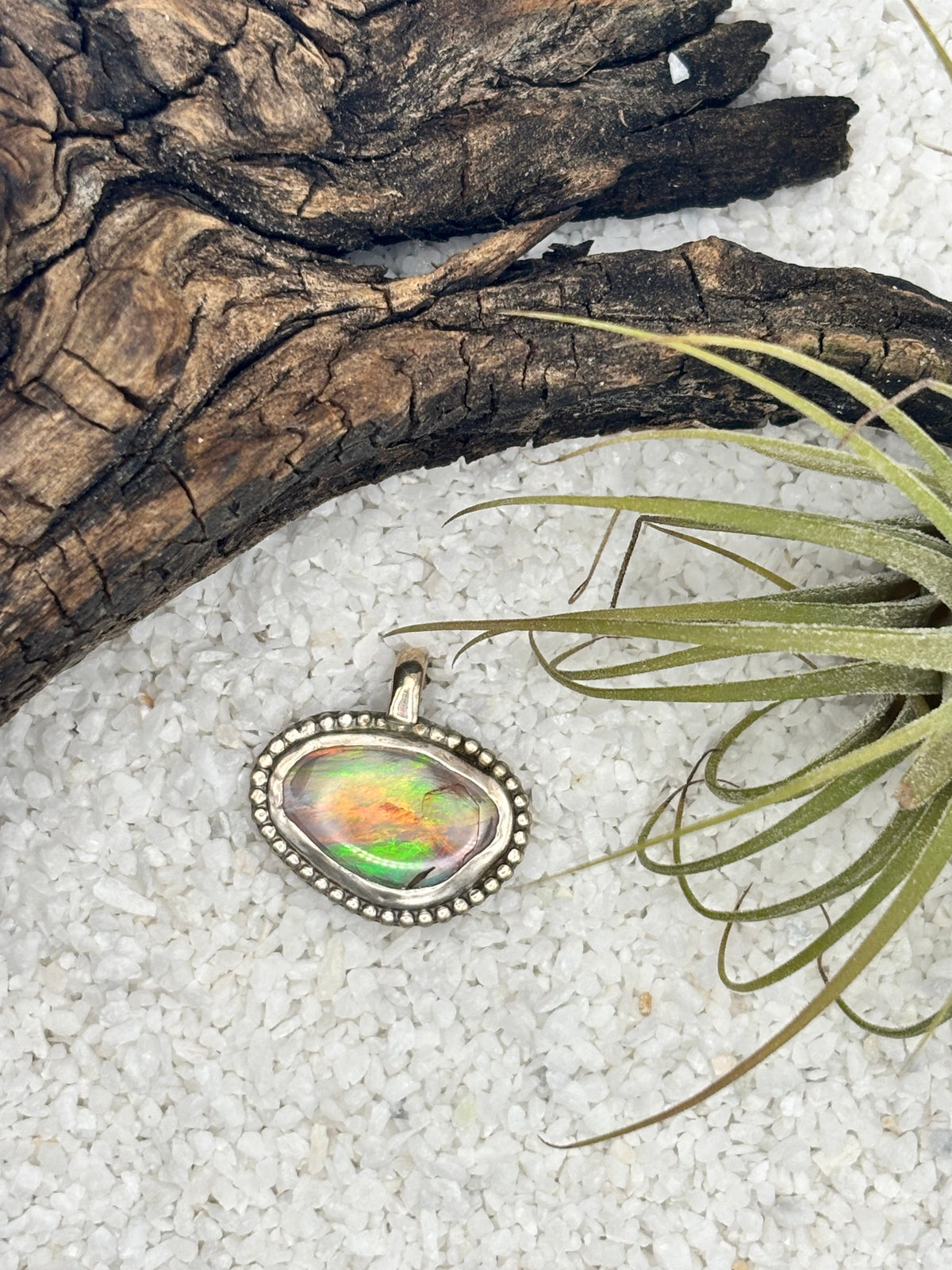 Opalized Seashell Pendant detail