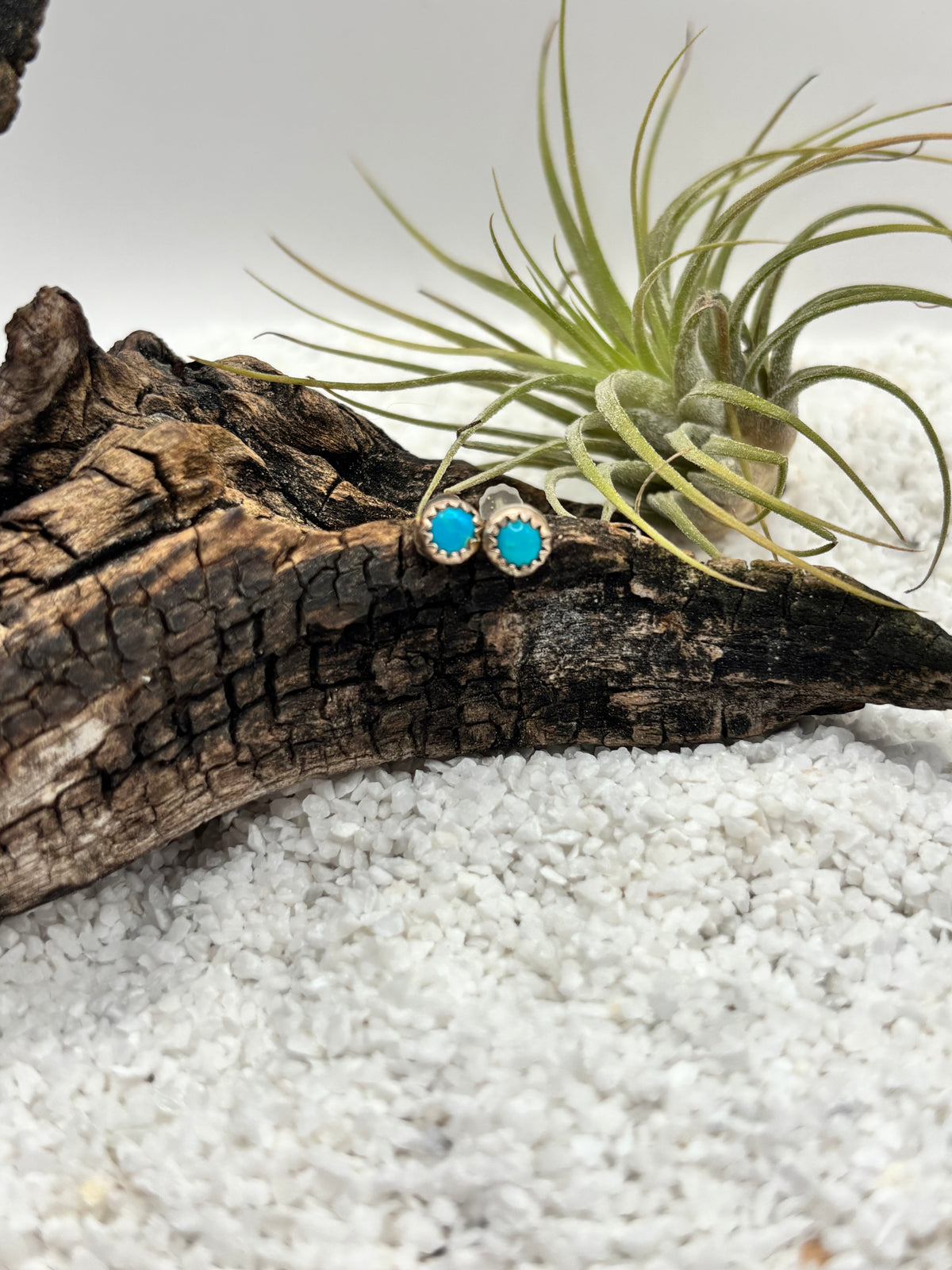 Petit Turquoise Stud Earrings
